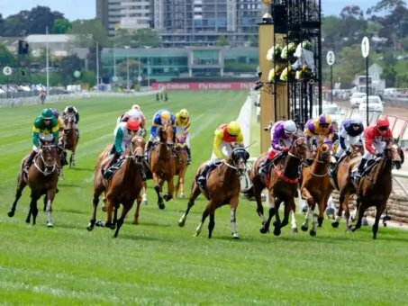 Melbourne Cup  Betting Preview